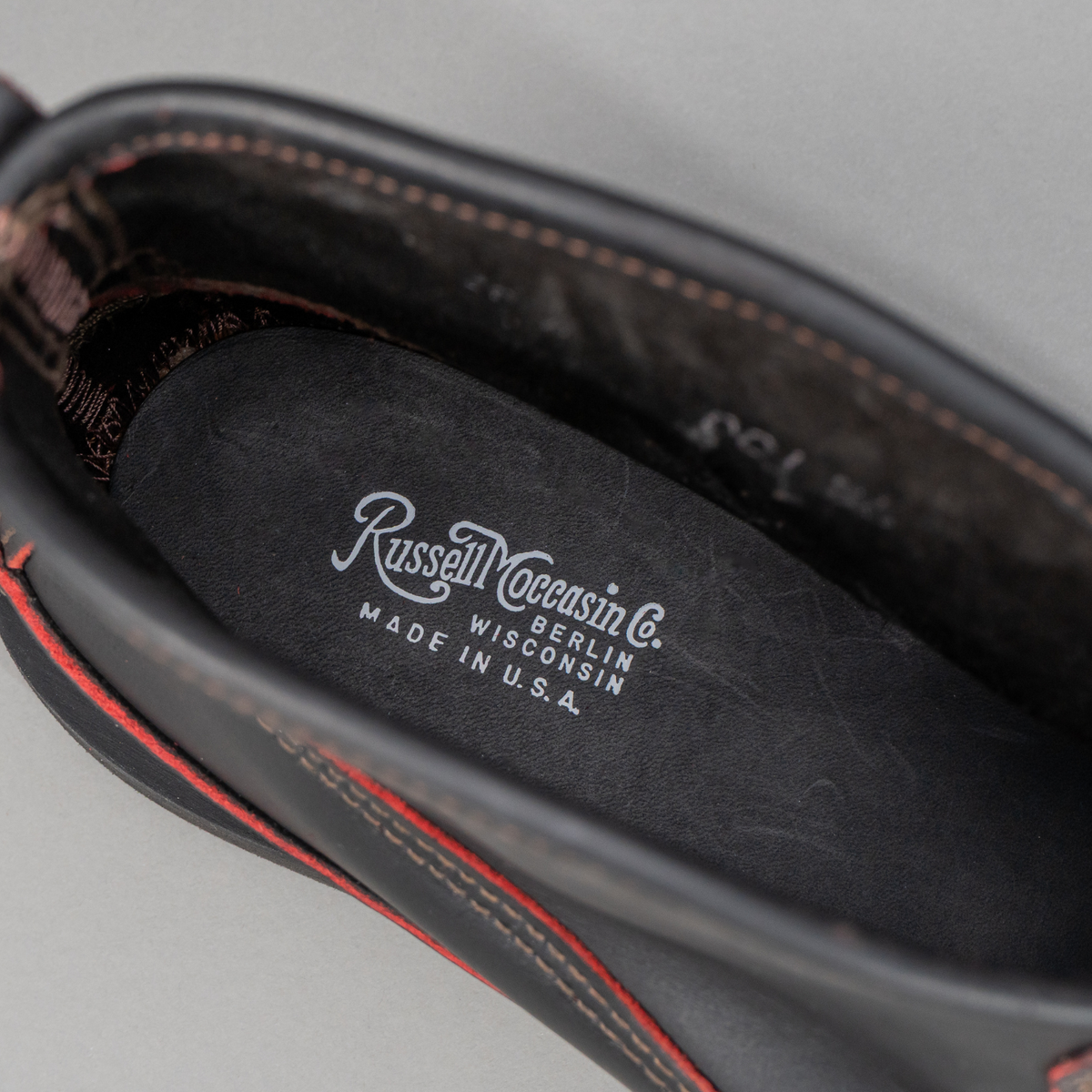 Rose Anvil X Russell Knock-A-Bout